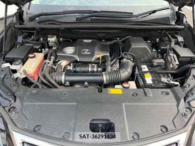 Lexus NX 2015-03 216428-18