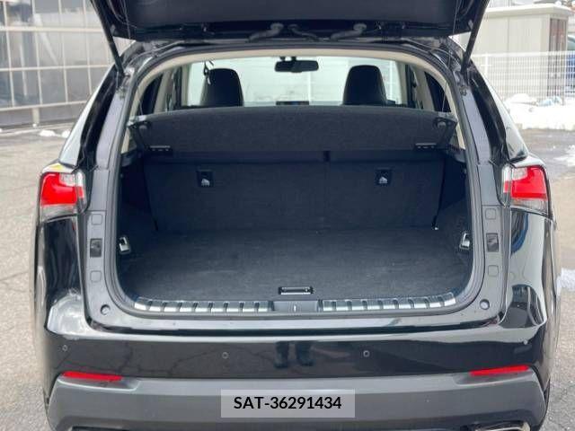 Lexus NX 2015-03 216428-10