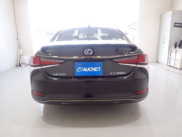 Lexus ES 2019-04 2512-3