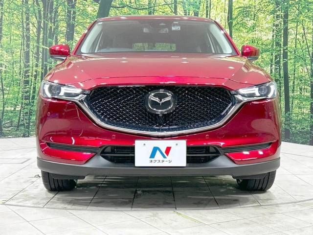 Mazda CX-5 2018-07 14110-14