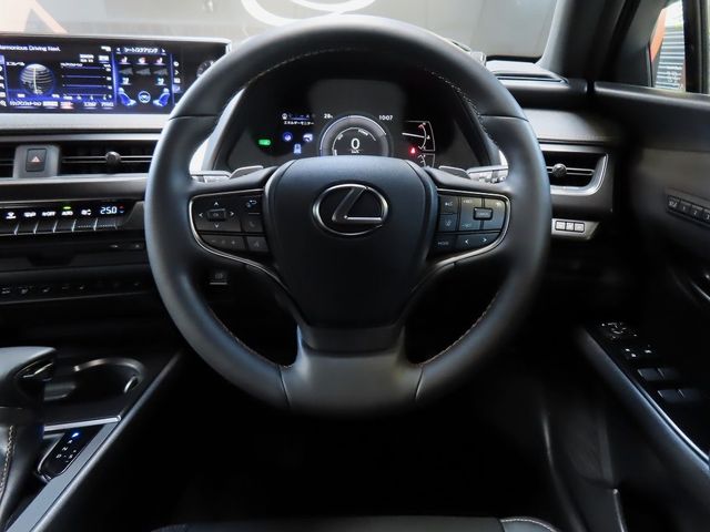 Lexus UX 2022-06 6361-19