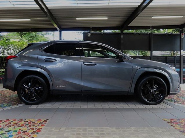 Lexus UX 2022-06 6361-3