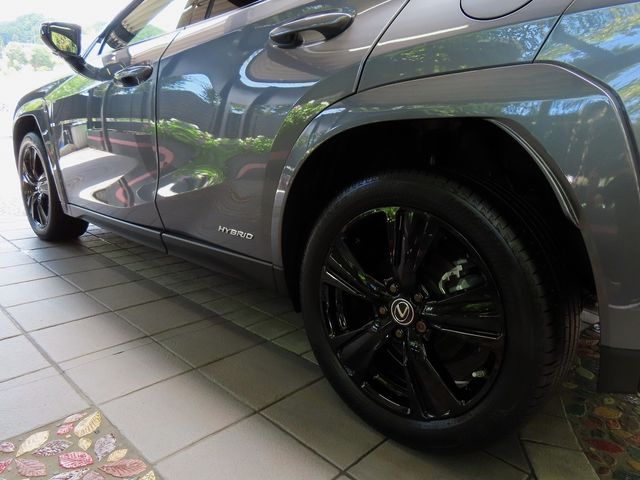 Lexus UX 2022-06 6361-10