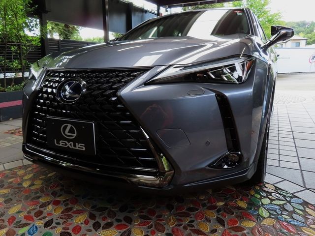 Lexus UX 2022-06 6361-0