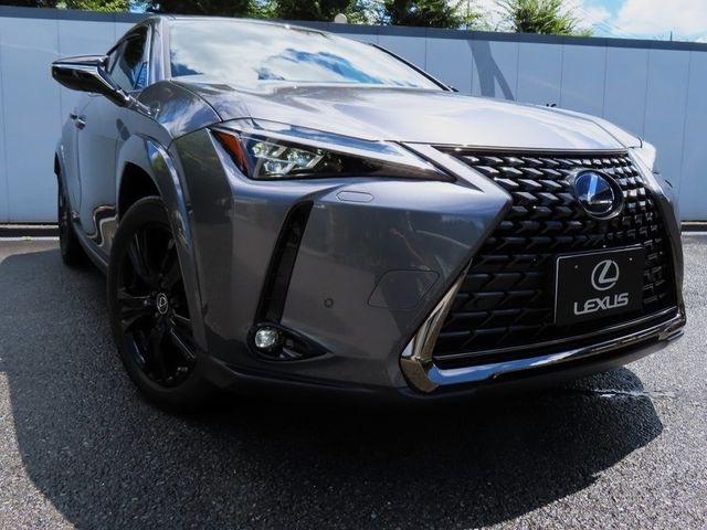 Lexus UX 2022-06 6361-29
