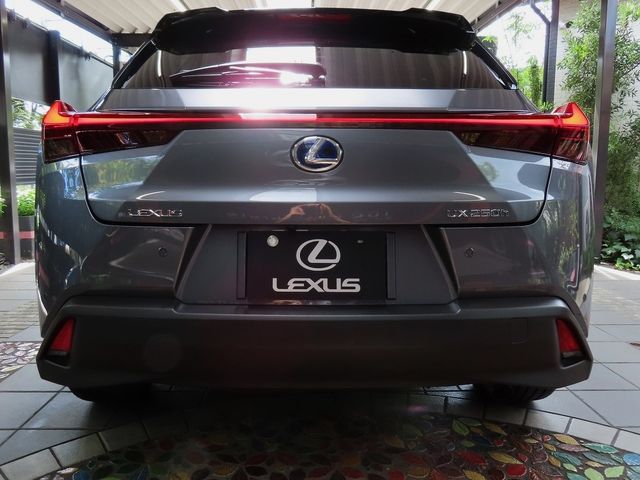 Lexus UX 2022-06 6361-6
