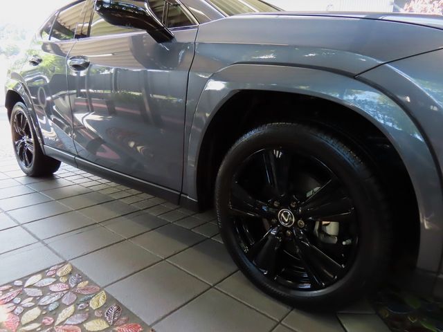 Lexus UX 2022-06 6361-8