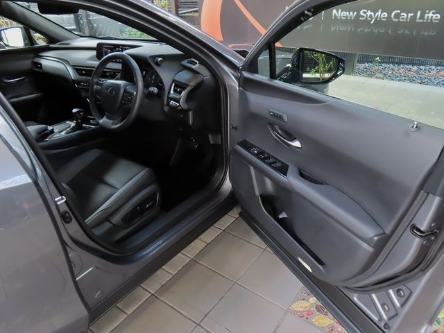 Lexus UX 2022-06 6361-14