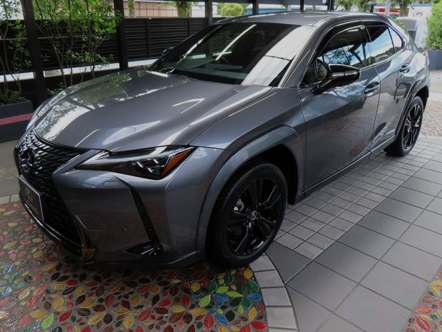 Lexus UX 2022-06 6361-11