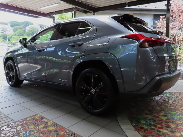 Lexus UX 2022-06 6361-9