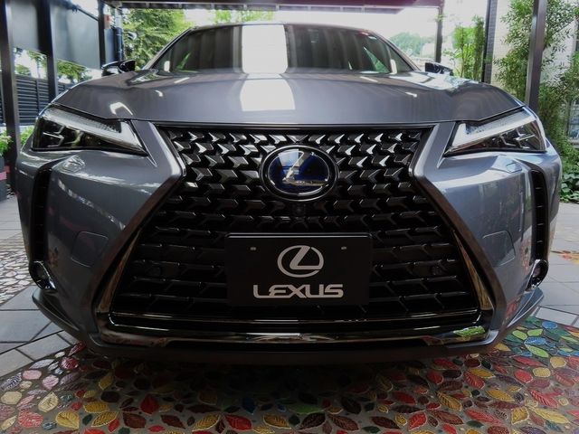 Lexus UX 2022-06 6361-4