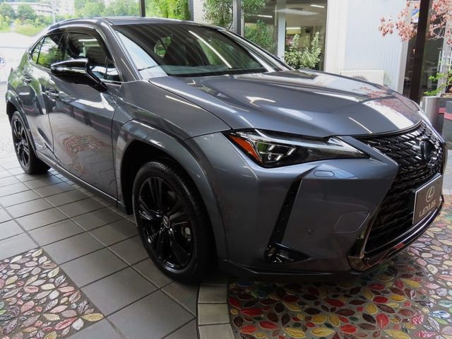 Lexus UX 2022-06 6361-7