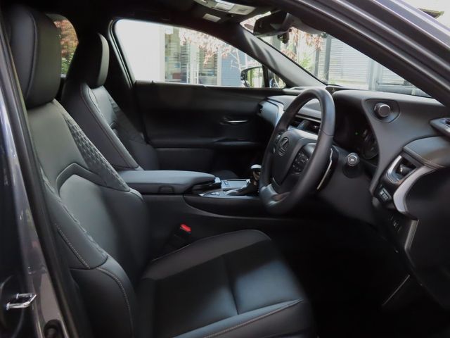 Lexus UX 2022-06 6361-15