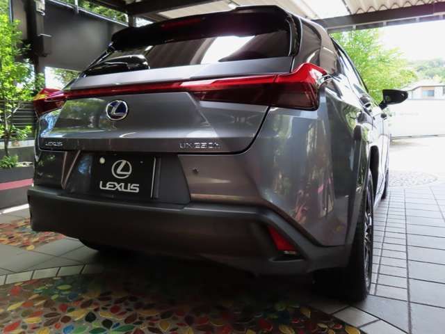 Lexus UX 2022-06 6361-1