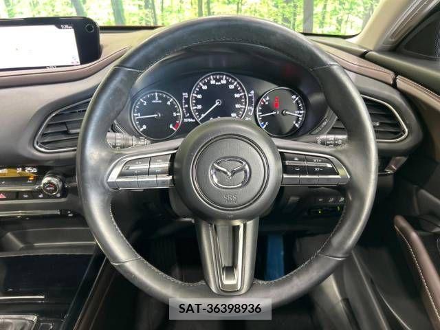 Mazda CX-30 2020-01 265625-9