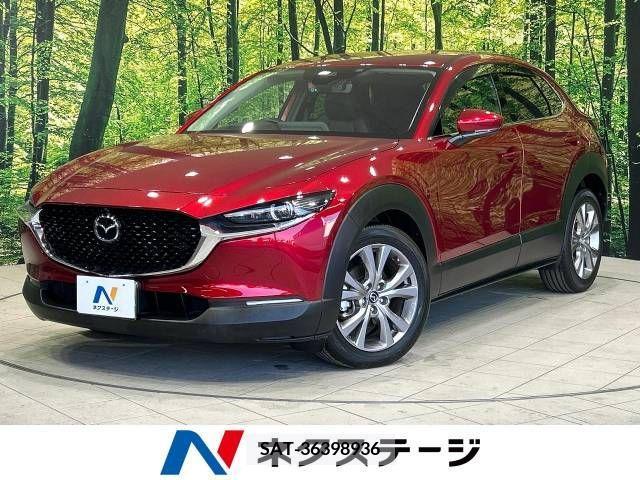 Mazda CX-30 2020-01 265625-0