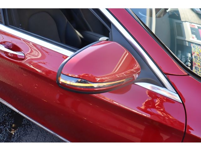 Mercedes Benz C-CLASS 2018-01 196631-19