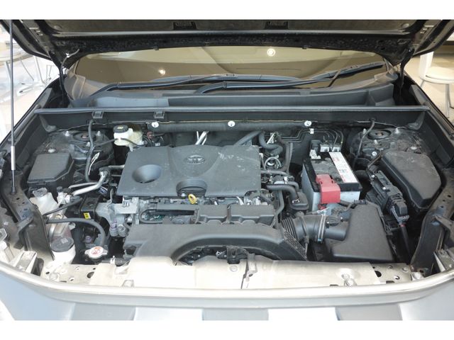 Toyota RAV4 2019-09 6445-25