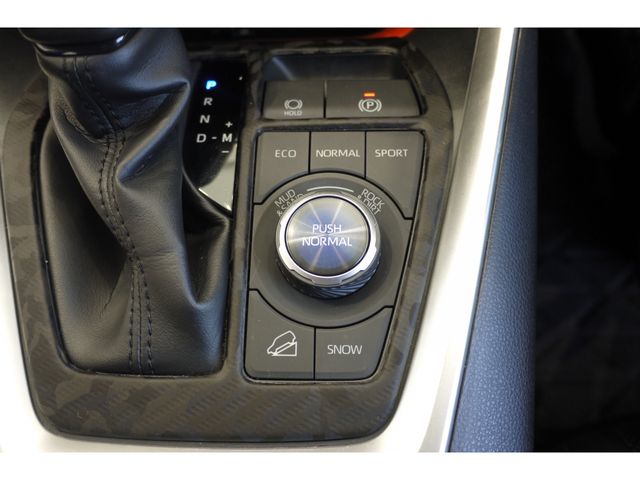 Toyota RAV4 2019-09 6445-21