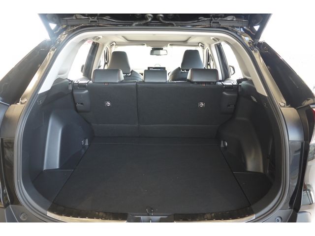 Toyota RAV4 2019-09 6445-5