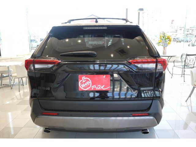 Toyota RAV4 2019-09 6445-2