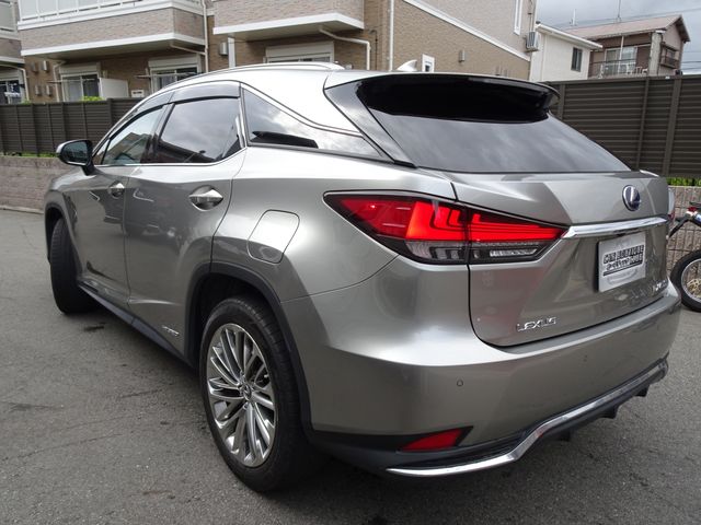 Lexus RX 2020-11 15225-4