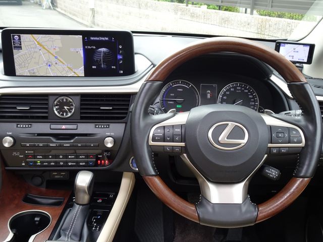 Lexus RX 2020-11 15225-12