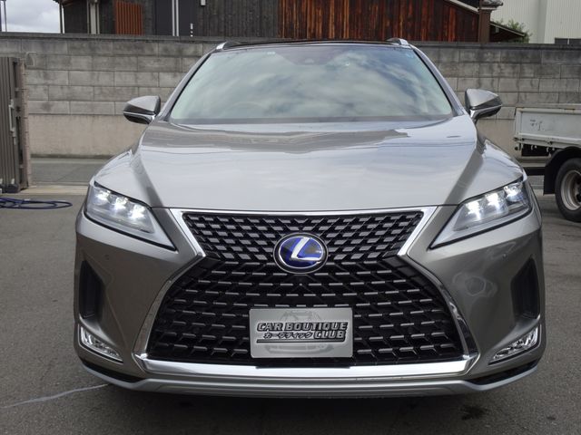 Lexus RX 2020-11 15225-1