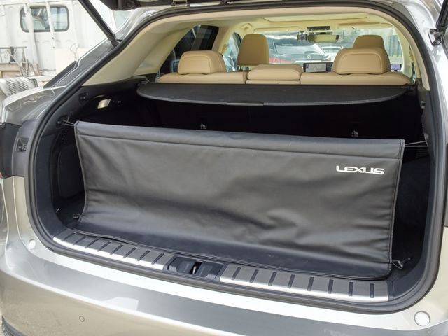 Lexus RX 2020-11 15225-18