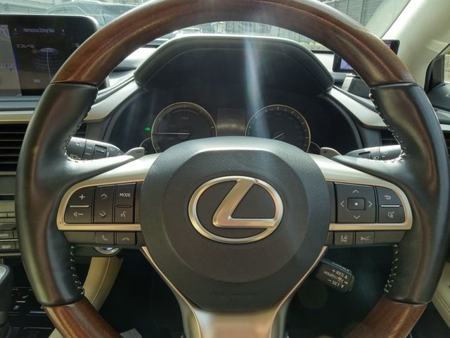 Lexus RX 2020-11 15225-19
