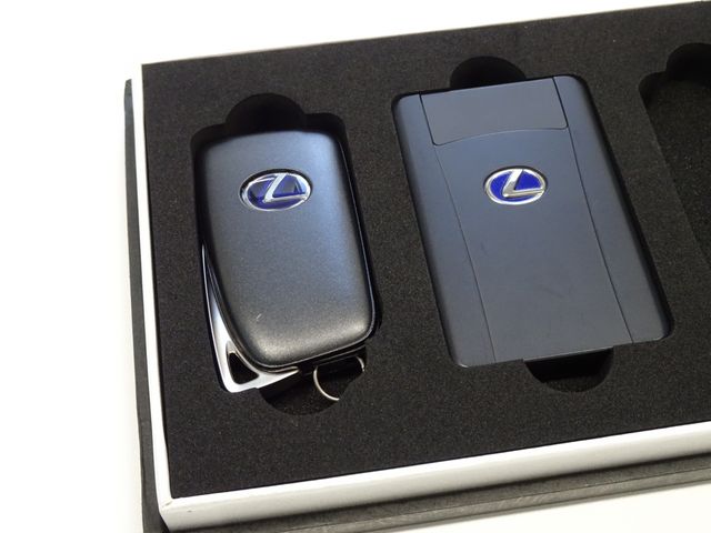 Lexus RX 2020-11 15225-28