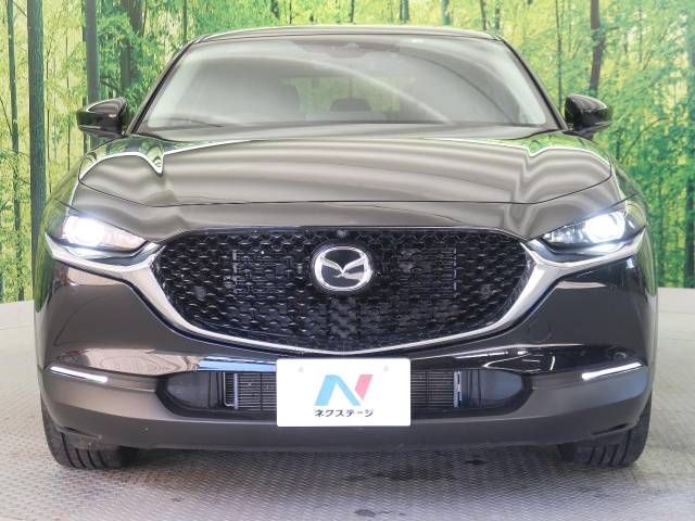 Mazda CX-30 2023-03 189960-14