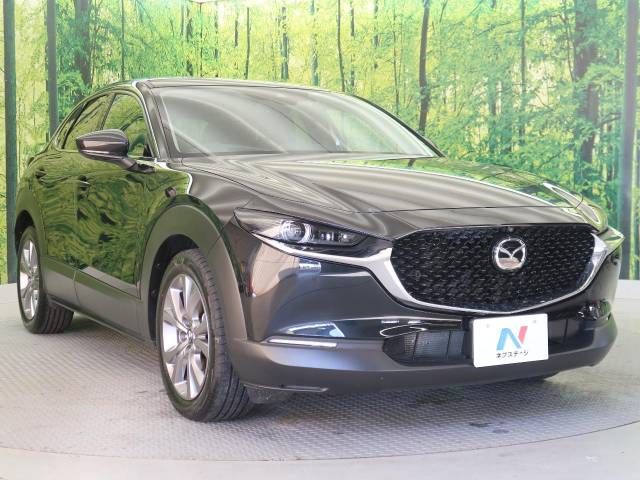 Mazda CX-30 2023-03 189960-16