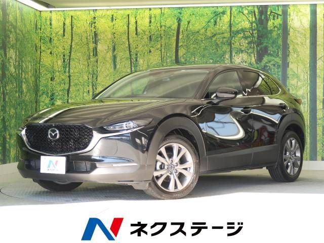 Mazda CX-30 2023-03 189960-0