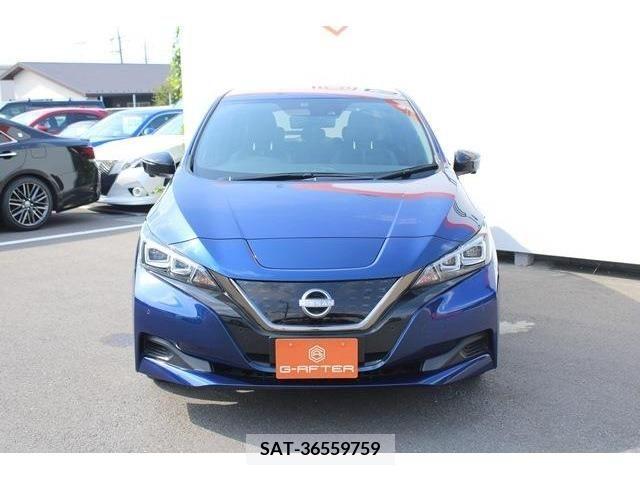 Nissan LEAF 2021-06 342039-5