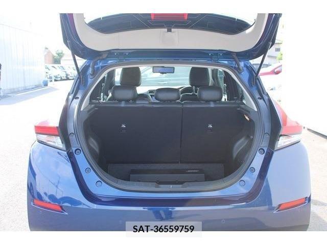 Nissan LEAF 2021-06 342039-16
