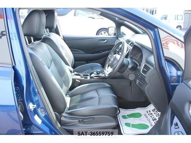 Nissan LEAF 2021-06 342039-14