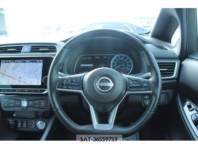 Nissan LEAF 2021-06 342039-13