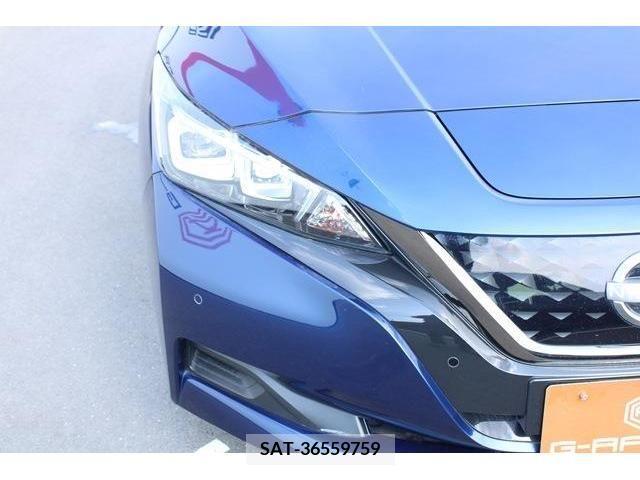 Nissan LEAF 2021-06 342039-9