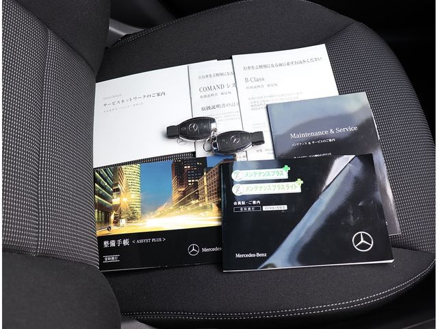 Mercedes Benz B-CLASS 2013-09 15063-28
