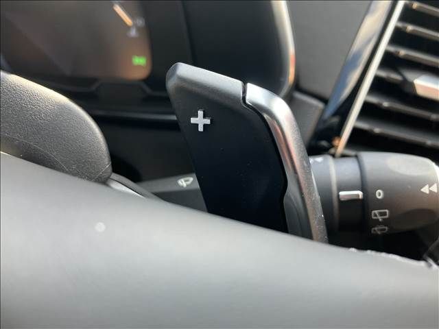 Citroen DS7 2020-12 14540-11