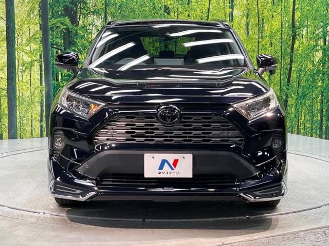 Toyota RAV4 2019-06 11091-15