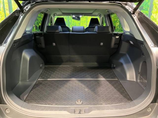 Toyota RAV4 2019-06 11091-11