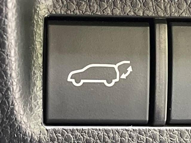 Toyota RAV4 2019-06 11091-7