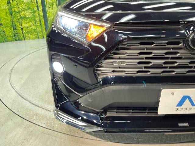 Toyota RAV4 2019-06 11091-13