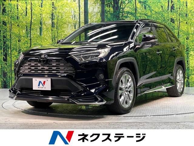 Toyota RAV4 2019-06 11091-0