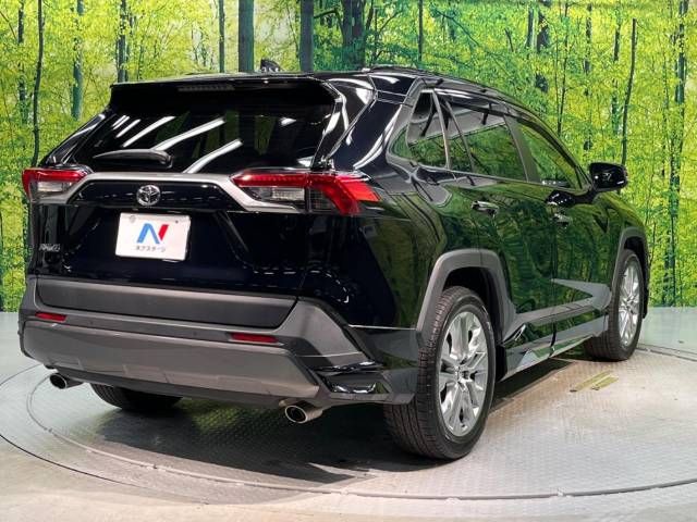 Toyota RAV4 2019-06 11091-18