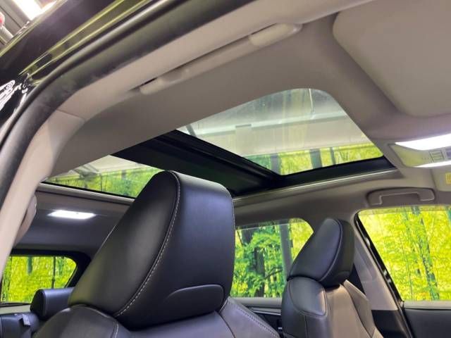 Toyota RAV4 2019-06 11091-3