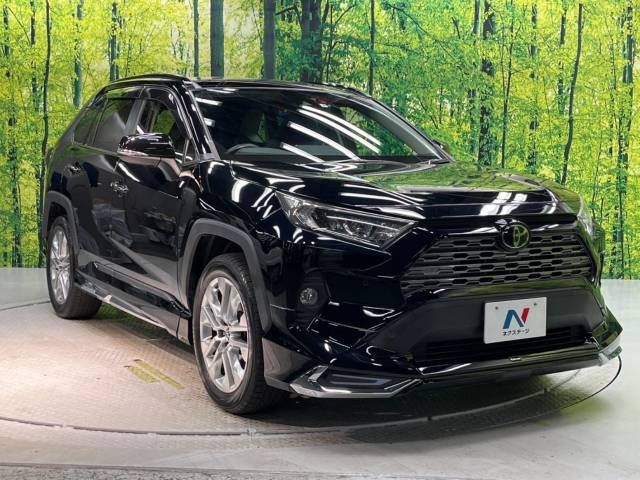 Toyota RAV4 2019-06 11091-17