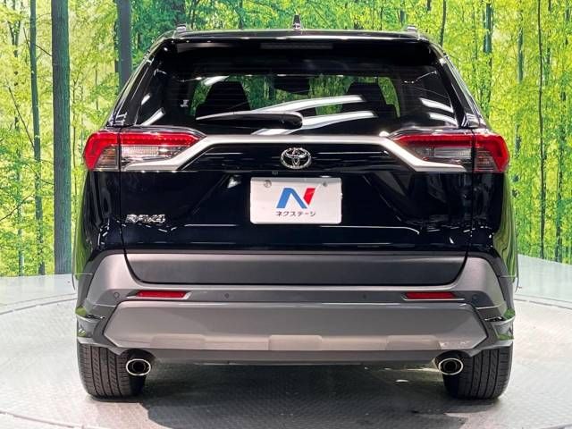 Toyota RAV4 2019-06 11091-16